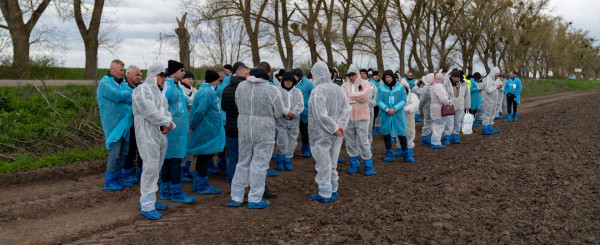 День поля на ПП «Агрофирма “Розволожжя“»