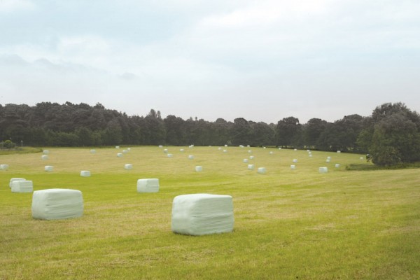 Agricultural stretch film - a reliable solution for haylage packaging