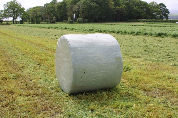 Agricultural stretch film - a reliable solution for haylage packaging