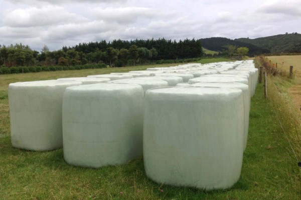 Agricultural stretch film - a reliable solution for haylage packaging