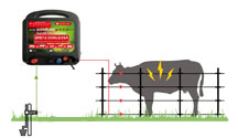 Electric fencing and accessories
