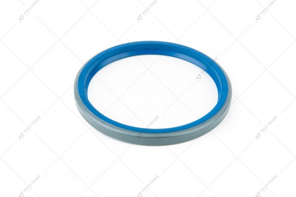 Seal 813/00415 Interpart