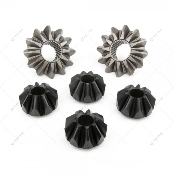 A set of differential gears 450/16900 Interpart