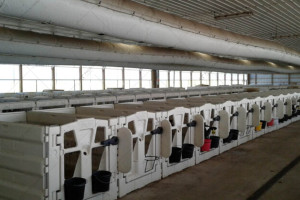 CALF-TEL I-Series 5' Indoor Calf Pen