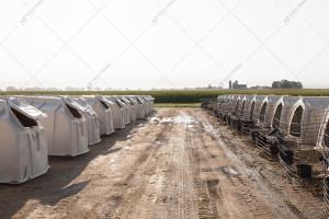 Одинарна огорожа для телят CALF-TEL C-Series ELITE