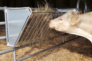 JORDAIN MODULAR COW HAY RACK