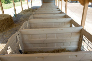 Стійло для телят CALF-TEL I-Series 6'