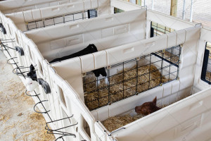 CALF-TEL I-Series 7' Indoor Calf Pen