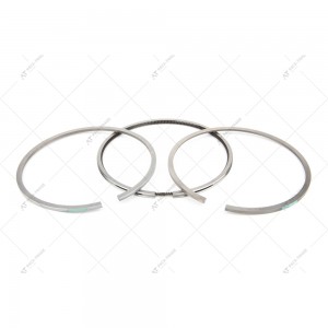 A set of rings 320/09214 Interpart