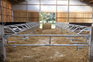 JORDAIN CALF FEED RAIL 2 BARS 