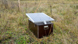 Электризатор универсальный