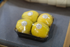 POF shrink film 450 mm*15 μm