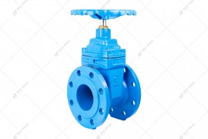 Flanged gate valve Tecofi VOC 4251C