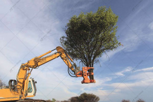 Захват для резки деревьев и кустарников Westtech Woodcracker С250