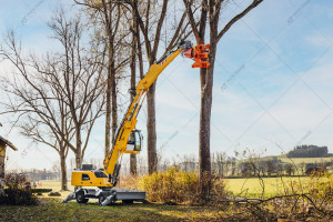 Захват для резки деревьев и кустарников Westtech Woodcracker С250