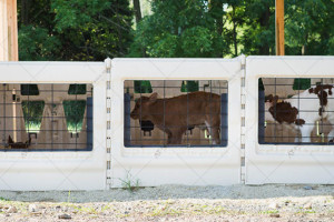 CALF-TEL I-Series 4'5