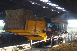 Разбрасыватель соломы VDMJ WSB+