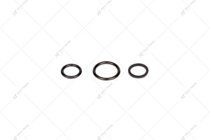 Ремкомплект 11-508598510004  PTE20N