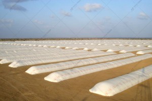 Grain bag 2,76 x 60 m - A.TOM