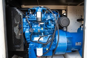 Дизельний генератор FG Wilson P50-3 40 кВт закритого типу