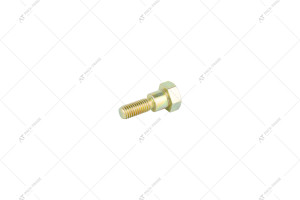 Bolt 826/10793 Interpart