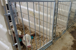 Компактные панели CALF-TEL I-Series BREEZEWAY